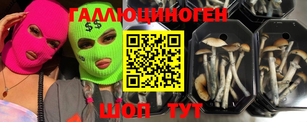 Галлюциногенные грибы мухоморы  Галлюциногенные грибы мицелий  Хабаровск  Вход с VPN 